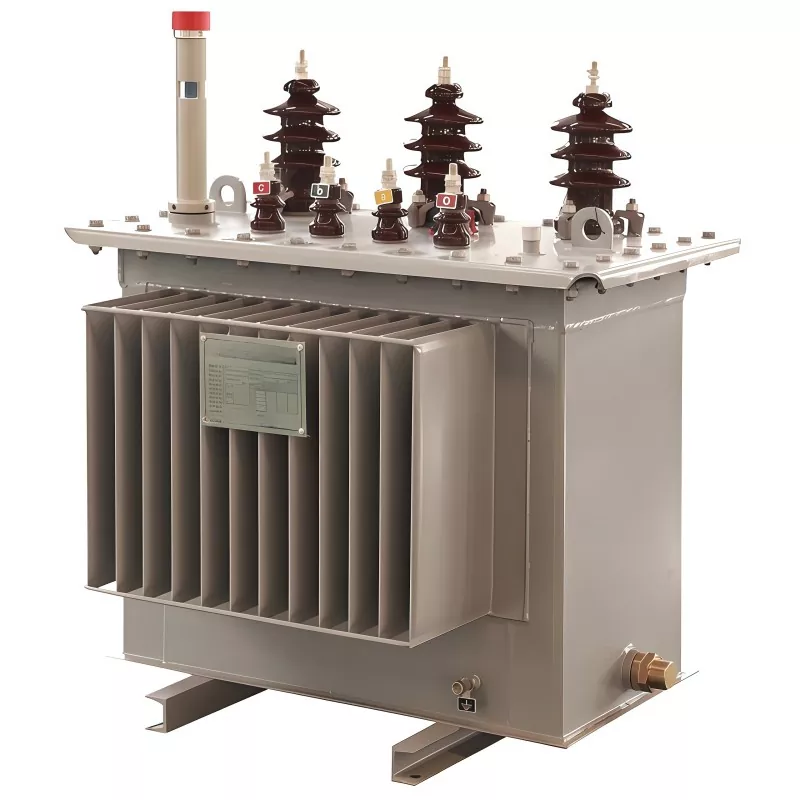 Trasformatore a bagno d'olio da 100 KVA 11 KV