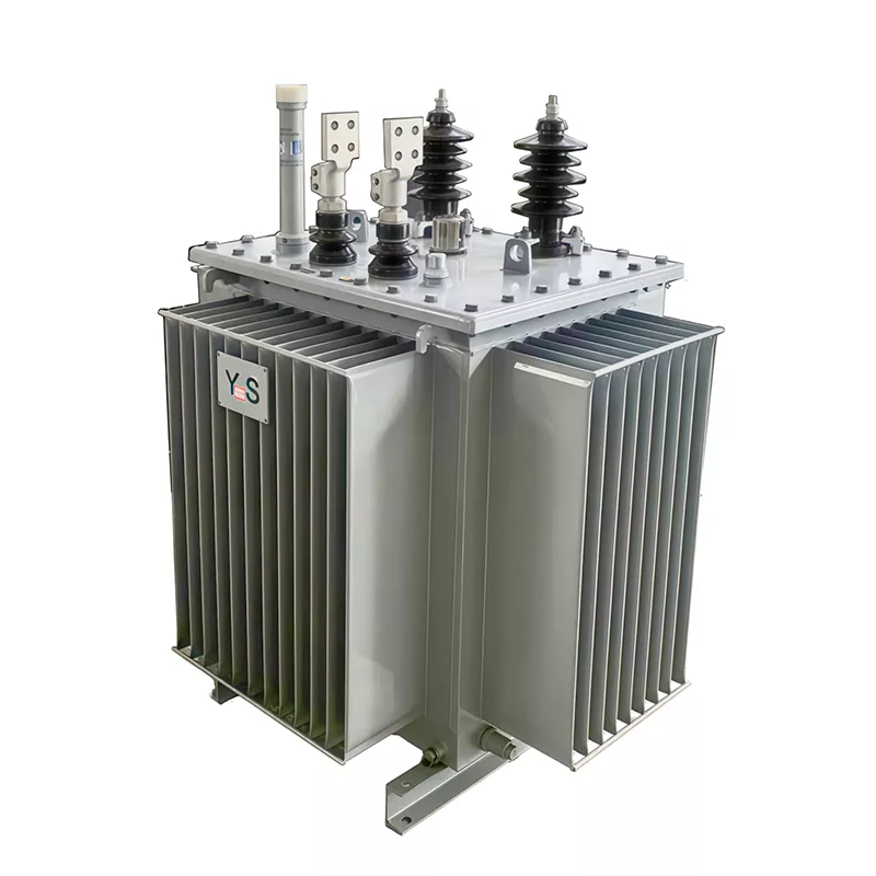 Trasformatore in bagno d'olio monofase 180KVA 19KV